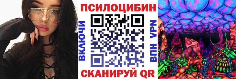 Псилоцибиновые грибы MAGIC MUSHROOMS  Купить закладки  Лесозаводск 